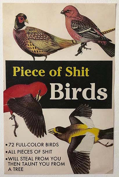 POS Birds Print by Paperback Paradise